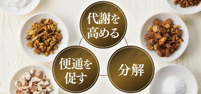 肥満02.jpg