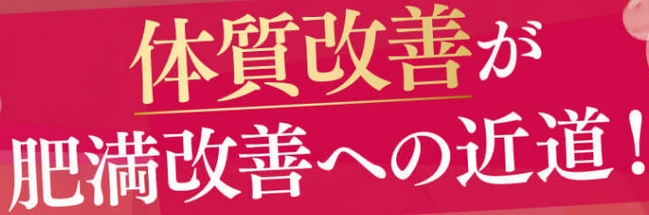 肥満04.jpg